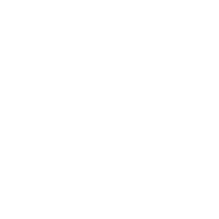Vortex-Spülung