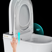 MEWATEC Dusch-WC Komplettset Florence Pro F2000 mit Betätigungsplatte F140B | Kunststoff | eckig | matt | schwarz