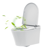 MEWATEC Dusch-WC Komplettset Florence Pro F2000 mit Betätigungsplatte F140B | Kunststoff | eckig | matt | schwarz